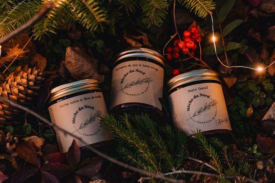 Bourgeon de pin &amp; baie rouge