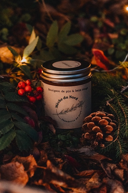 Bourgeon de pin &amp; baie rouge