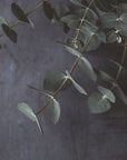 Cubes de cire - Collection automnale